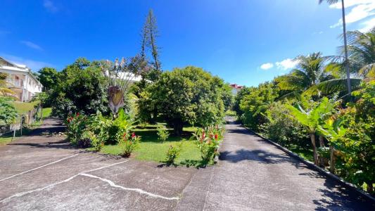 Annonce Vente 6 pices Maison Gourbeyre 971