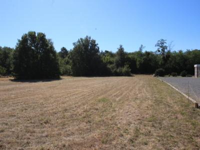 Acheter Terrain 3601 m2 Chatellerault