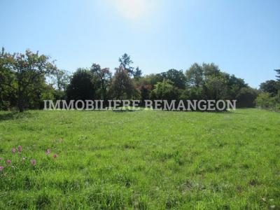 For sale Vouzon 2954 m2 Loir et cher (41600) photo 0