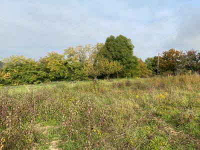Annonce Vente Terrain Larnage 26