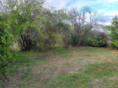 For sale Ares 321 m2 Gironde (33740) photo 0