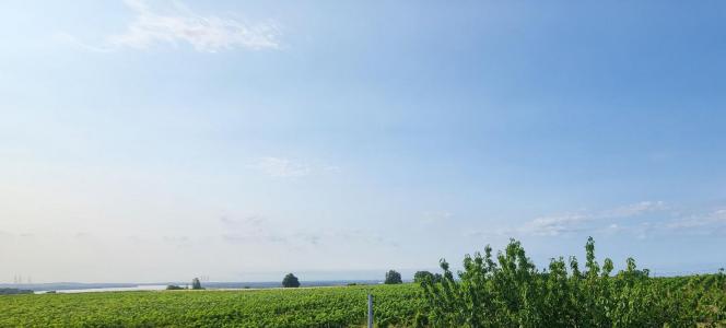 Annonce Location 4 pices Maison Bourg 33