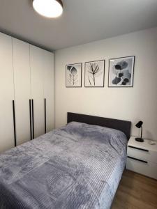 For rent Annecy 2 rooms 38 m2 Haute savoie (74000) photo 4