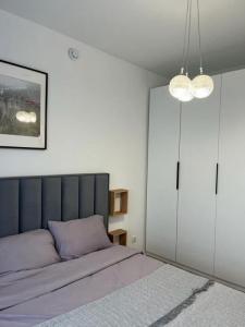 For rent Lyon-7eme-arrondissement 2 rooms 36 m2 Rhone (69007) photo 1