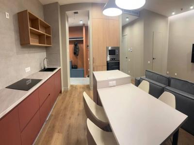 For rent Lyon-7eme-arrondissement 2 rooms 41 m2 Rhone (69007) photo 2