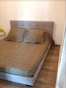 Louer Appartement Lucciana 900 euros