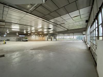 Acheter Local commercial Savigneux Loire