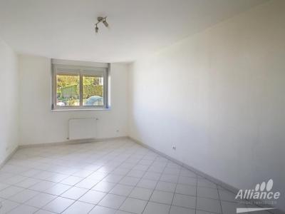 Louer Appartement 48 m2 Berche