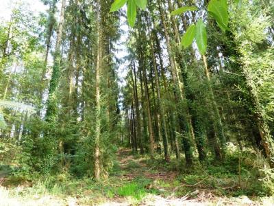 For sale Melrand 13280 m2 Morbihan (56310) photo 0