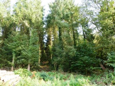For sale Melrand 13280 m2 Morbihan (56310) photo 1