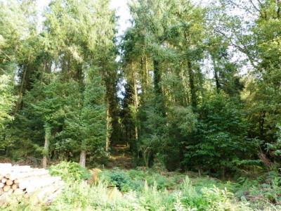 For sale Melrand 13280 m2 Morbihan (56310) photo 2