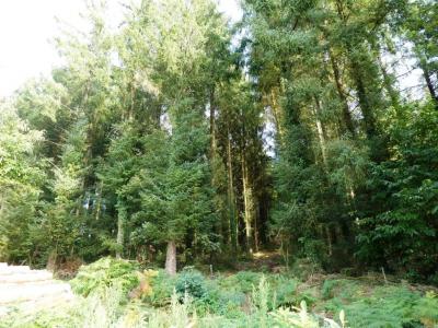 For sale Melrand 13280 m2 Morbihan (56310) photo 3