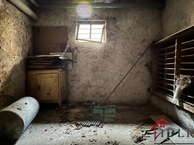 Annonce Vente 5 pices Maison Bourbonne-les-bains 52