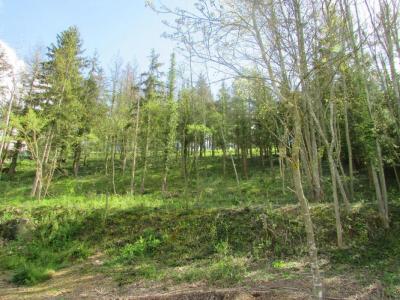Annonce Vente Terrain Cherisy 28