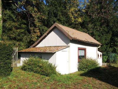 Annonce Vente 4 pices Maison Saint-maurice-sur-moselle 88