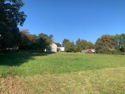 Acheter Maison 74 m2 Landaul