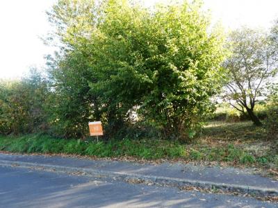 Annonce Vente Terrain Saint-caradec-tregomel 56