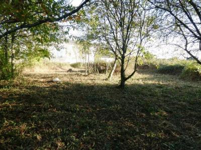 Acheter Terrain Saint-caradec-tregomel Morbihan
