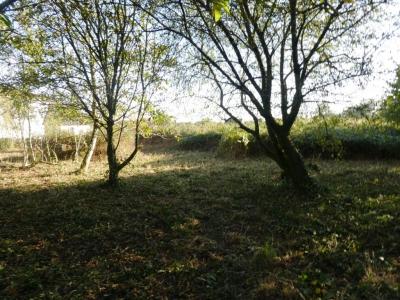 Acheter Terrain Saint-caradec-tregomel 12790 euros