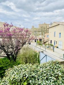 Annonce Vente 5 pices Maison  84