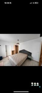 Annonce Location 4 pices Appartement Trelaze 49
