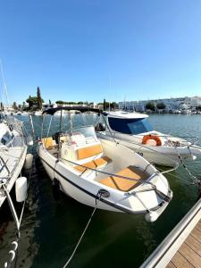 Acheter Appartement 21 m2 Grau-du-roi