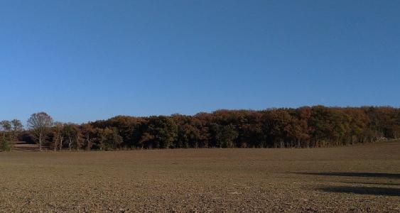 Annonce Vente Terrain Jeu-les-bois 36