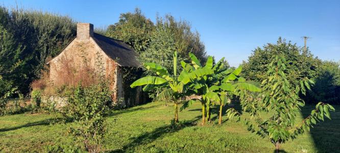 For sale Combree 9 rooms 190 m2 Maine et loire (49520) photo 1