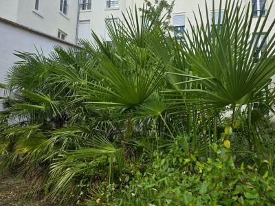 For sale Vichy 4 rooms 67 m2 Allier (03200) photo 4