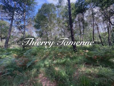 For sale Escalans Landes (40310) photo 0