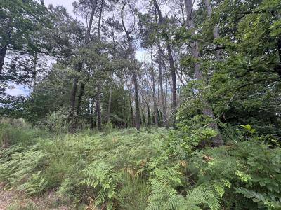 For sale Escalans Landes (40310) photo 1