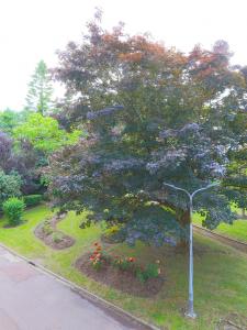 Acheter Appartement Yerres 125000 euros