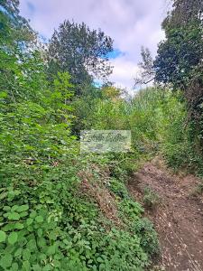 For sale Ortaffa Pyrenees orientales (66560) photo 1