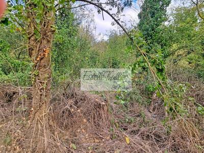 For sale Ortaffa Pyrenees orientales (66560) photo 2