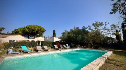 For sale Saintes-maries-de-la-mer 8 rooms 250 m2 Bouches du Rhone (13460) photo 2