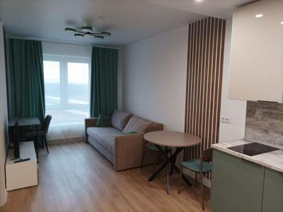 For rent Annecy 2 rooms 36 m2 Haute savoie (74000) photo 0