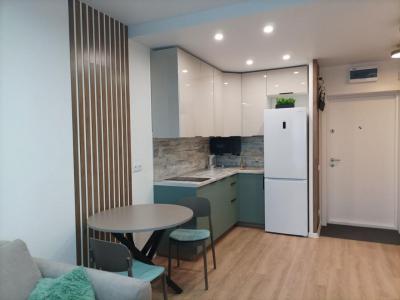 For rent Annecy 2 rooms 36 m2 Haute savoie (74000) photo 1