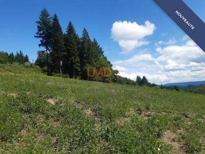 For sale Monestier 1540 m2 Puy de dome (63890) photo 1