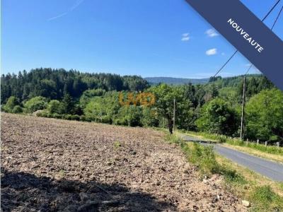 For sale Monestier 1540 m2 Puy de dome (63890) photo 2