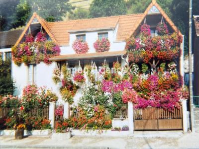 Annonce Vente 6 pices Maison Paron 89
