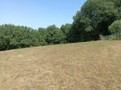 Annonce Vente Terrain Saix 81