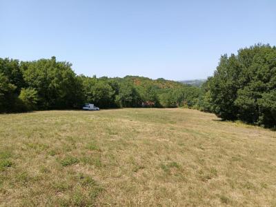 Annonce Vente Terrain Saix 81