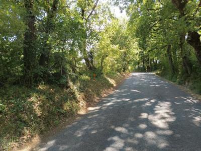 Acheter Terrain 1582 m2 Saix
