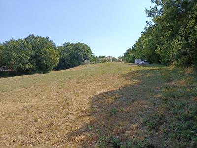 Annonce Vente Terrain Saix 81