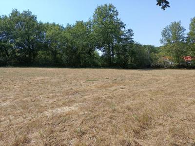 Annonce Vente Terrain Saix 81