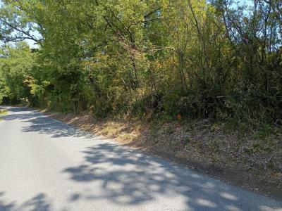 Acheter Terrain 1268 m2 Saix