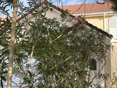 Acheter Maison 105 m2 Brive-la-gaillarde