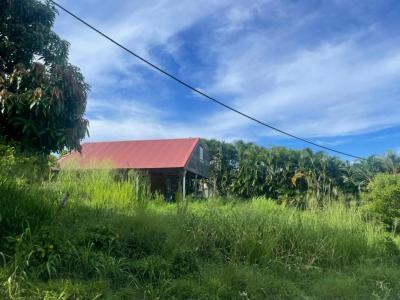 Annonce Vente Terrain Vauclin 972
