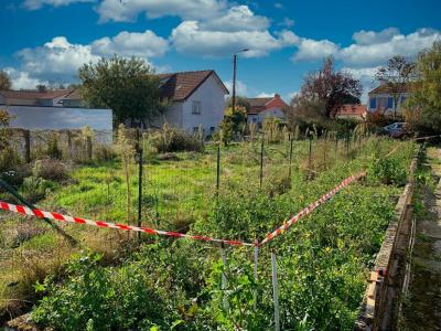 For sale Haie-fouassiere Loire atlantique (44690) photo 0