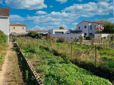 For sale Haie-fouassiere Loire atlantique (44690) photo 1